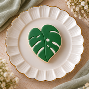 Monstera Blatt